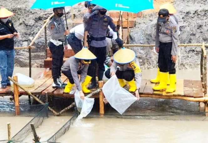 
					Waka Polda Babel Dukung Kapolres Beltim  Dan Tabur Ribuan Beni Ikan Lele