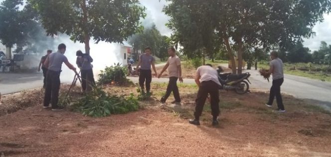 
					Polres Belitung Timur Tanam Jagung Manfaatkan Lahan Yang Ada