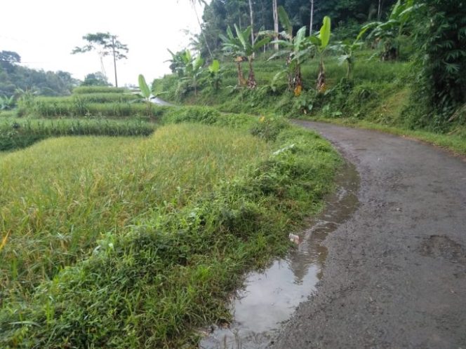 
					Pemdes Cimanggu Harapkan Pembangunan Drainase Jalan TPT dan  Saluran Irigasi Desa