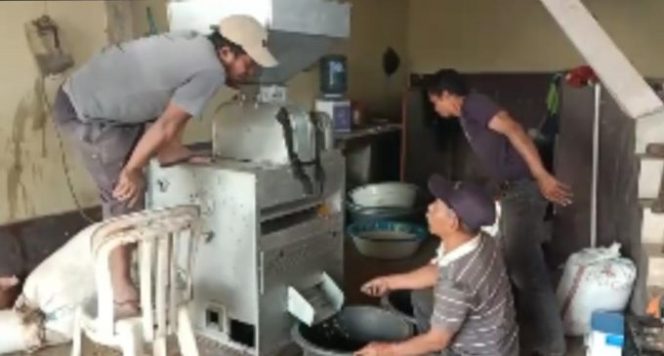 
					Kopi Robusta Asli Pegunungan Desa Sukamanah Garut Kini Diminati   