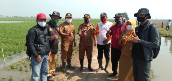 
					Kepala UPTD Pertanian Sukasari Kunjungi Gropyokan di Pintu Sarmad Dusun Kedung Jaya