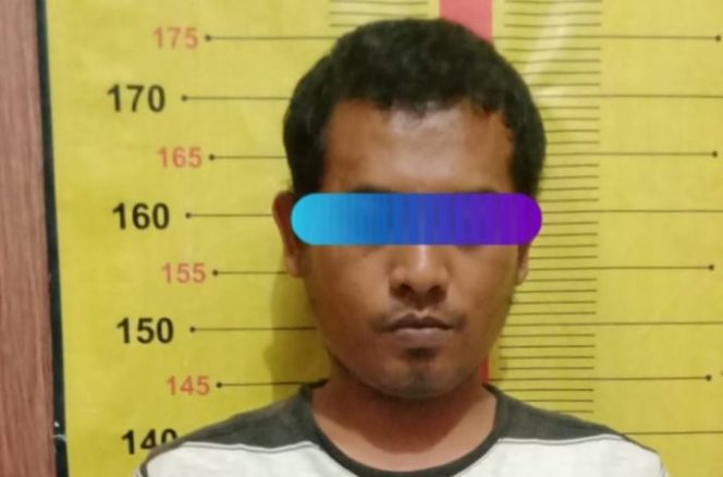 
					Penyalahguna Sabu di Semaka Ditangkap Satresnarkoba Polres Tanggamus
