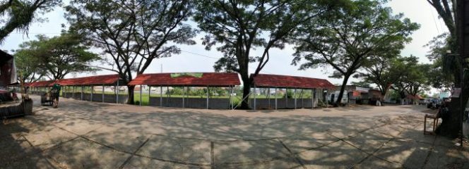 
					Lahan Bekas Eks Pedagang Kaki Lima (PKL) di Terminal Leuwiliang Digarap Pemdes Setempat