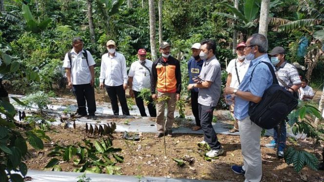 
					Kabupaten Tanggamus Akan Jadi Pilot Projek Program I-CARE