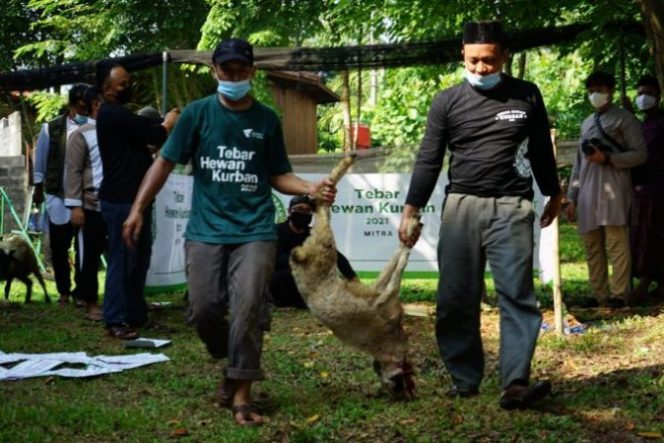 
					Lewat Program Tebar Hewan Kurban, Dompet Dhuafa Sebar 60 Ekor Hewan Kurban