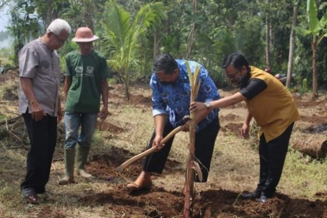 
					Program Padat Karya Tunai Desa Tahun 2021 di Desa Jajawar di Implementasikan Pada Kegiatan Penanaman Budidaya Palawija