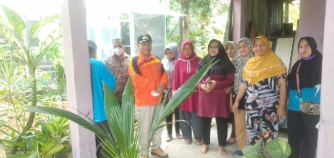 
					Plt Wali Kota Waris Thalib : Pemanfaatan Lahan Pekarangan Penting Sebagai Lumbung Hidup Hingga Apotek Hidup