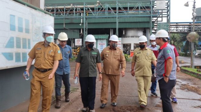 
					Perusahaan Sawit Siap Suplai 50 Ton Minyak Goreng