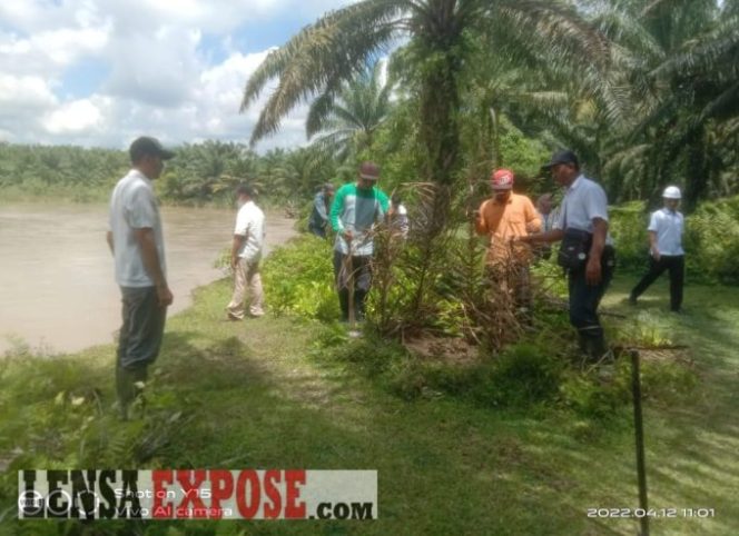 Kegiatan Tim Tangguh Kebun Sei Silau Konsisten Merawat Tanaman di Lokasi DAS