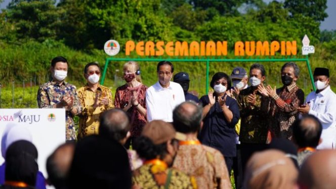 
					Pangdam lll/Siliwangi dan Danrem 061/Sk Dampingi Kunker Presiden RI ke Lokasi Persemaian di Rumpin Bogor