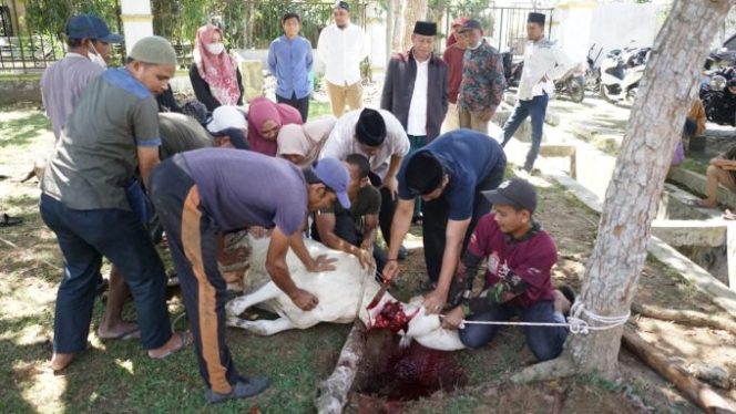 
					Pemkot Tanjungbalai Sembelih 6 Ekor Hewan Qurban