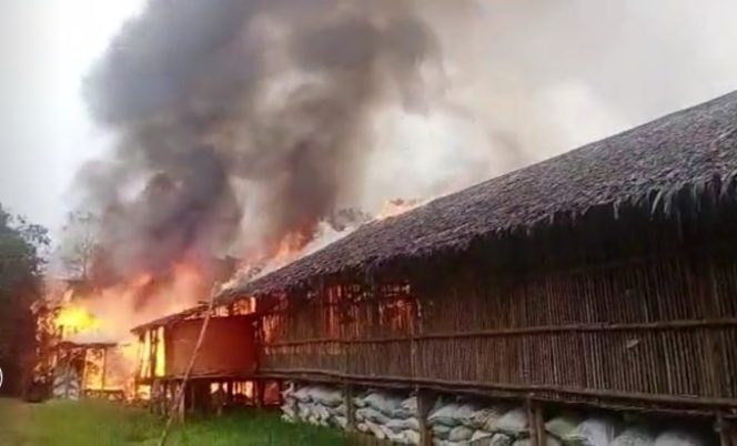 Dua Ternak Kandang Ayam Di Ciseeng Bogor Terbakar, Ribuan Ayam Terpanggang