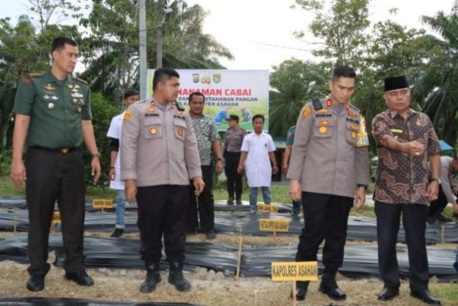 
					Kapolres Bersama Forkopimda Tanam Bibit Cabai di Polsek Kota Kisaran