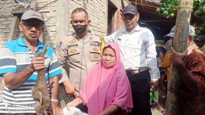 
					Bhabinkamtibmas Polsek Labuhan Ruku Serah Terima Bantuan 853 Ekor Bebek Kepada 167 KK
