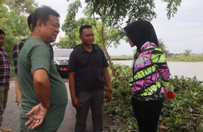 
					Sungai Timaritis Di Penuhi Eceng Gondok, Wabup Cirebon Sigap Tanggapi Keluhan Warga