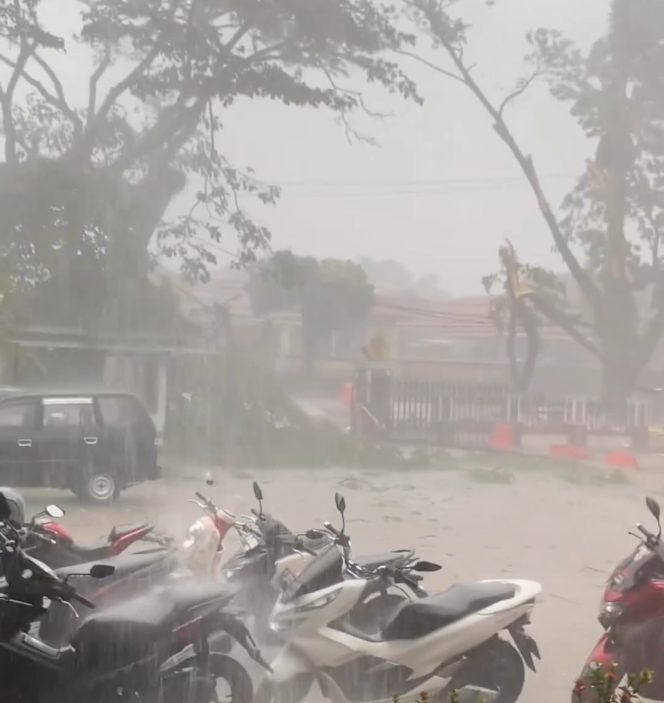 
					Akibat Hujan Deras Disertai Angin Kencang, Pohon Depan Kantor Kecamatan Leuwiliang Tumbang