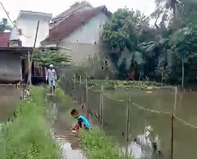 
					30 Kolam Ikan di Rumpin Jebol Diterjang Banjir, Petani Alami Kerugian Hingga Puluhan Juta Rupiah