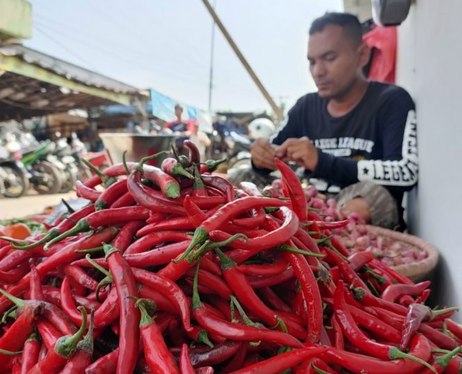 
					Bahan Pokok di Pasar Leuwiliang Bogor Alami Kelonjakan Harga, Cabai Rawit Merah Tembus Rp 100 Ribu Perkilo