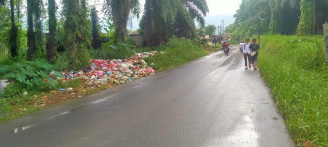 Selain Cemari Lingkungan, Tumpukan Sampah di Jalan Raya Cigudeg Ganggu Pengguna Jalan dan Warga Sekitar