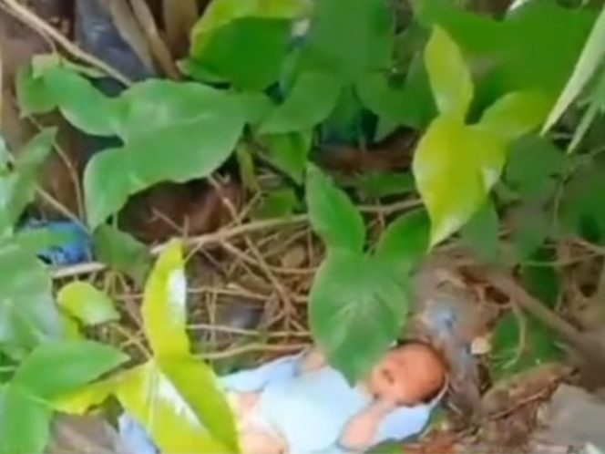 
					Warga Kemang Bogor Temukan Bayi Ditumpukan Sampah, Kondisinya Masih Hidup dan Sudah Digerumuti Semut