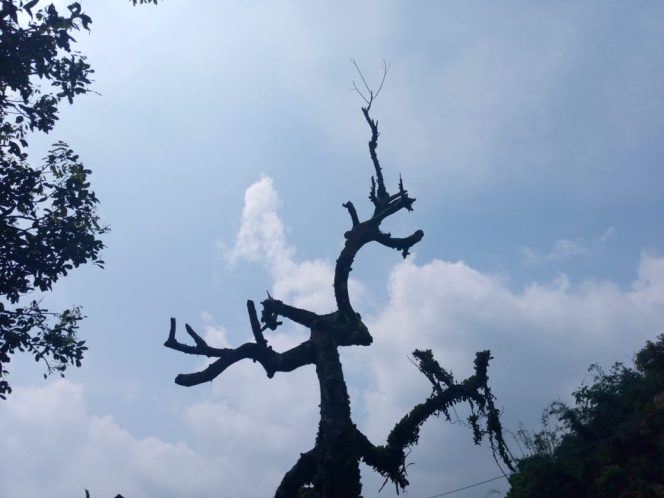 
					Cuaca Di Bogor Sering Cerah Berawan, Namun Suhu Terasa Panas Menyengat