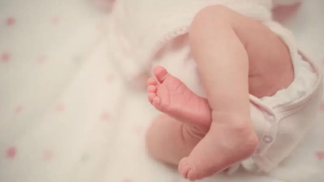 
					Warga Cigudeg Bogor di Gegerkan Penemuan Bayi yang Masih Terbalut Ari ari di Pinggir Rumah Warga