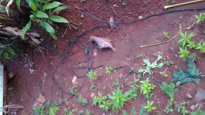 
					PLN UPT Jonggol – Cariu Kurang Respek Adanya Laporan Warga Soal Kabel Putus Dari Tiang Besar