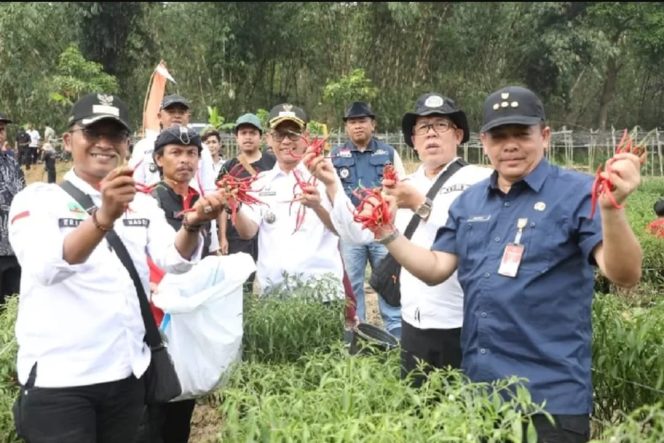 
					Pj Bupati Purwakarta Borong Cabai dari Petani di Sukasari