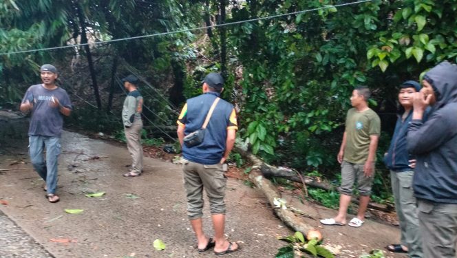 
					Akibat Cuaca Ekstrim Tiang Listrik Tumbang di Ciseeng, Akses Jalan Tertutup