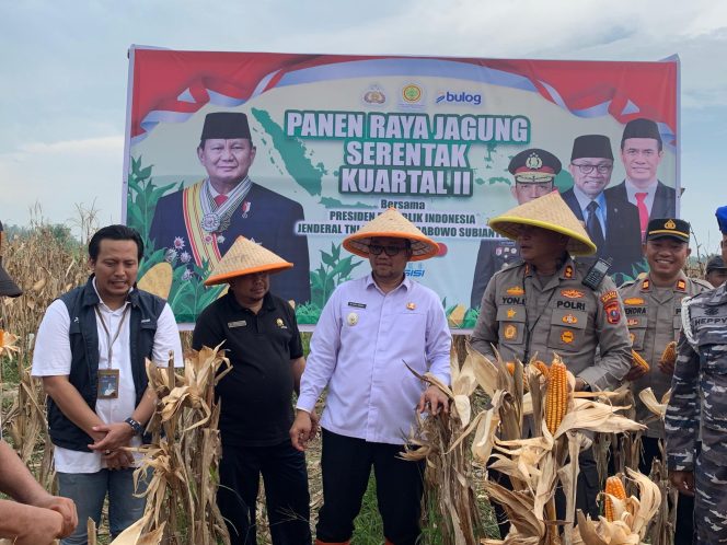 
					Dipimpin Presiden RI, Via Daring Wakil Wali Kota Tanjungbalai Ikuti Panen Raya Nasional Jagung Serentak Kuartal II di Bengkayang