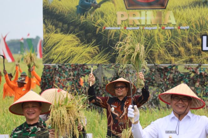
					Wakil Wali Kota Tanjungbalai Hadiri Panen Raya Padi Lahan Ketahanan Pangan Kodam I/BB Bersama Panglima TNI di Deli Serdang