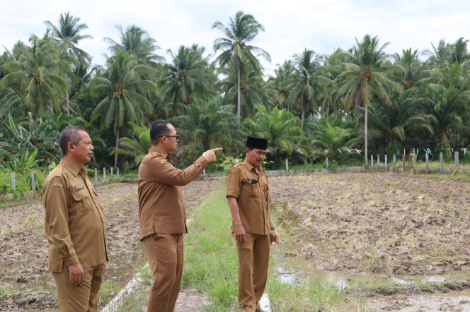 
					Wakil Wali Kota Tanjungbalai Melaksanakan Pembinaan dan Peninjauan Lahan Percontohan Padi Sawah Milik Dinas Pangan dan Pertanian